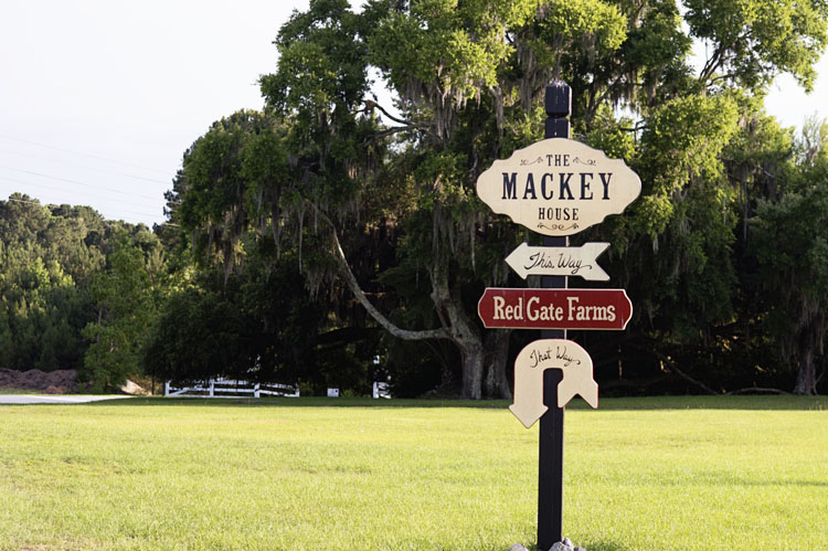 Dinning at the Mackey House | Southern Graces & Company | Lowcountry Bride
